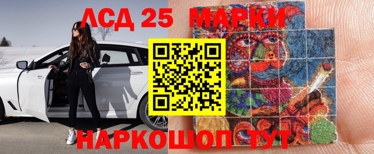 LSD-25 экстази  Вход с VPN  Каменск-Шахтинский  Лсд 25 экстази кислота  LSD-25 экстази кислота 