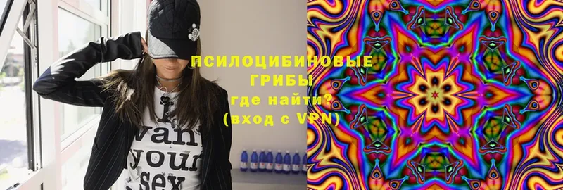 blacksprut как зайти  Каменск-Шахтинский  Псилоцибиновые грибы Psilocybe  магазин  наркотиков 