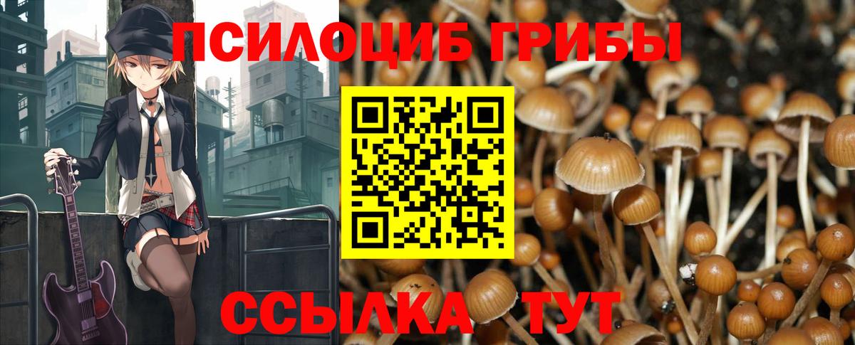 Галлюциногенные грибы мухоморы  Вход с VPN  Каменск-Шахтинский 