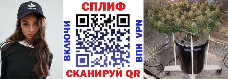 Шишки марихуана конопля  сколько стоит  Каменск-Шахтинский 